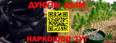 дурь Краснознаменск