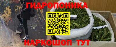 эйфоретик Краснодар
