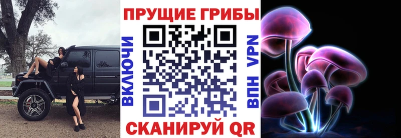 Псилоцибиновые грибы GOLDEN TEACHER Камышлов