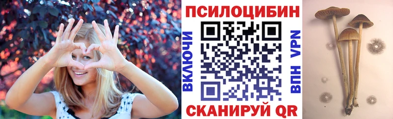 купить  сайты  даркнет официальный сайт  Галлюциногенные грибы Psilocybe  Камышлов 