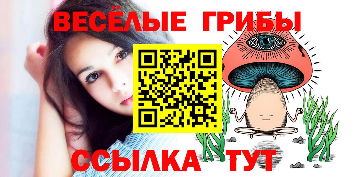 Галлюциногенные грибы ЛСД Камышлов