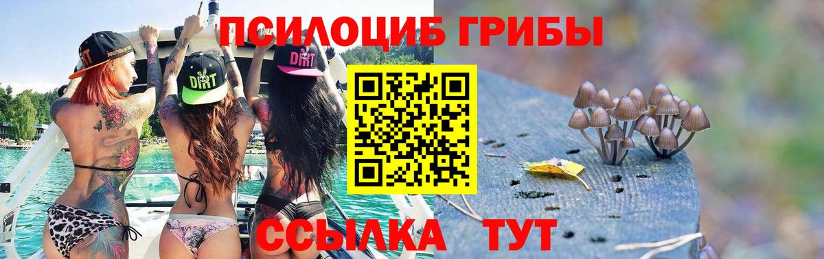 Псилоцибиновые грибы GOLDEN TEACHER  Вход с VPN  Псилоцибиновые грибы MAGIC MUSHROOMS  Камышлов 